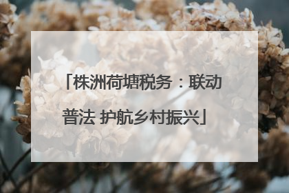 株洲荷塘税务：联动普法 护航乡村振兴