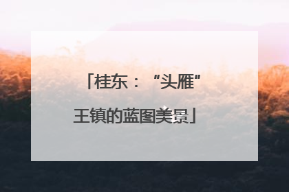 桂东：“头雁”王镇的蓝图美景