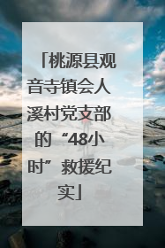 桃源县观音寺镇会人溪村党支部的“48小时”救援纪实