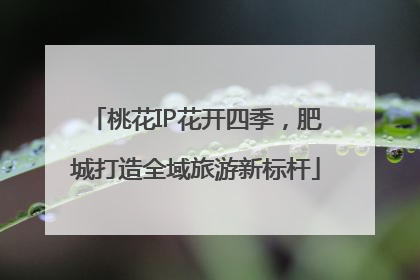 桃花IP花开四季，肥城打造全域旅游新标杆