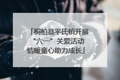 桐柏县平氏镇开展“六一”关爱活动 情暖童心助力成长