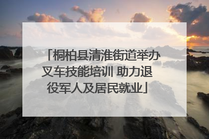桐柏县清淮街道举办叉车技能培训 助力退役军人及居民就业