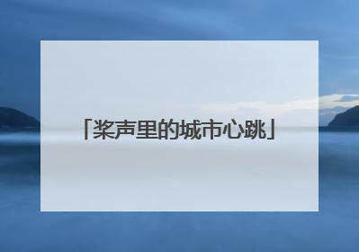 桨声里的城市心跳