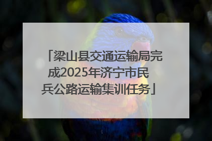 梁山县交通运输局完成2025年济宁市民兵公路运输集训任务