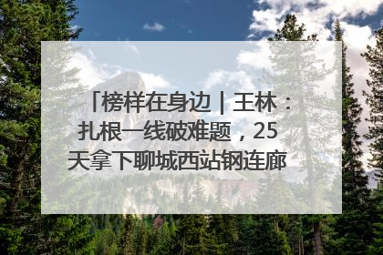 榜样在身边｜王林：扎根一线破难题，25天拿下聊城西站钢连廊“硬核”工程