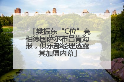樊振东“C位”亮相德国萨尔布吕肯海报，俱乐部经理透露其加盟内幕