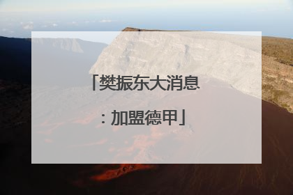 樊振东大消息：加盟德甲