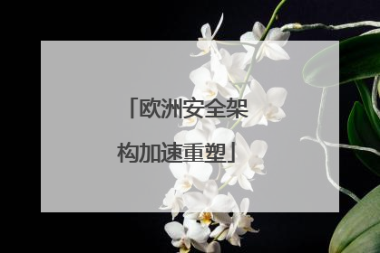 欧洲安全架构加速重塑