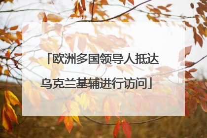 欧洲多国领导人抵达乌克兰基辅进行访问