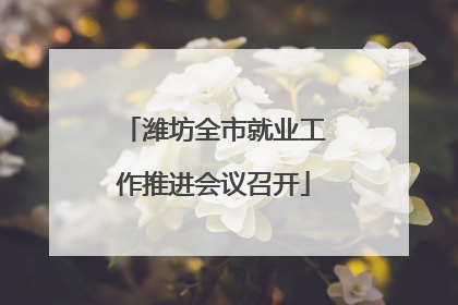 潍坊全市就业工作推进会议召开
