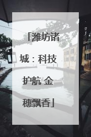 潍坊诸城：科技护航 金穗飘香