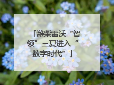 潍柴雷沃“智领”三夏进入“数字时代”