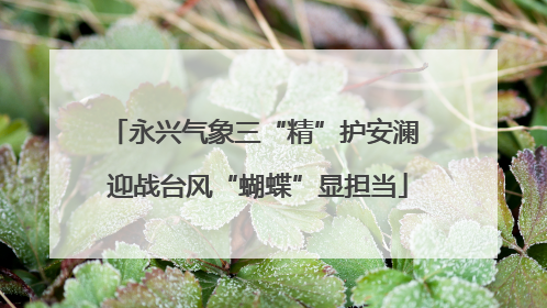 永兴气象三“精”护安澜 迎战台风“蝴蝶”显担当