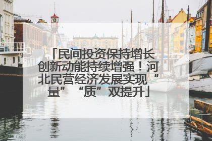 民间投资保持增长 创新动能持续增强！河北民营经济发展实现“量”“质”双提升