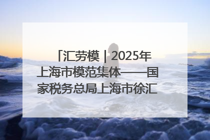 汇劳模｜2025年上海市模范集体——国家税务总局上海市徐汇区税务局第一税务所