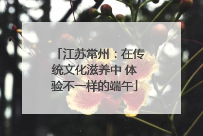 江苏常州：在传统文化滋养中 体验不一样的端午