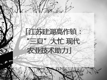 江苏建湖高作镇：“三夏”大忙 现代农业技术助力