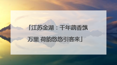 江苏金湖：千年藕香飘万里 荷韵悠悠引客来