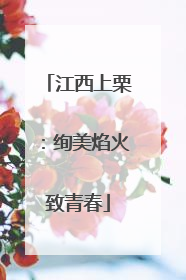江西上栗：绚美焰火致青春
