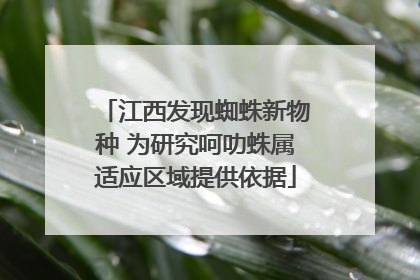 江西发现蜘蛛新物种 为研究呵叻蛛属适应区域提供依据