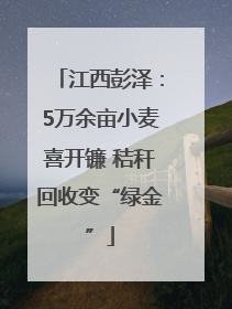 江西彭泽：5万余亩小麦喜开镰 秸秆回收变“绿金”