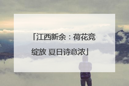 江西新余：荷花竞绽放 夏日诗意浓