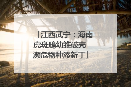 江西武宁：海南虎斑鳽幼雏破壳 濒危物种添新丁