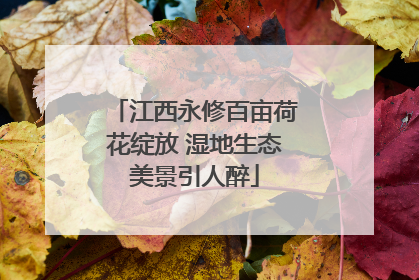 江西永修百亩荷花绽放 湿地生态美景引人醉
