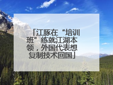 江豚在“培训班”练就江湖本领，外国代表想复制技术回国