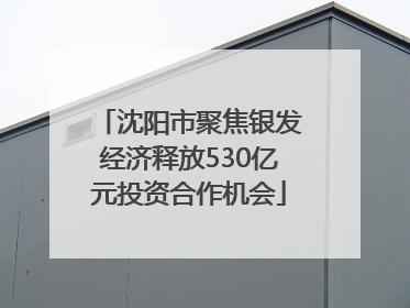沈阳市聚焦银发经济释放530亿元投资合作机会