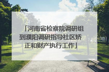 河南省检察院调研组到濮阳调研指导社区矫正和财产执行工作