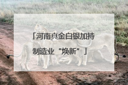河南真金白银加持制造业“焕新”