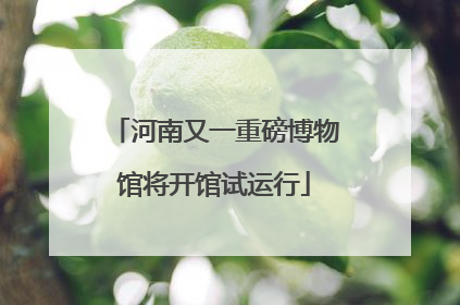 河南又一重磅博物馆将开馆试运行