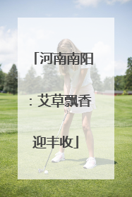 河南南阳：艾草飘香迎丰收