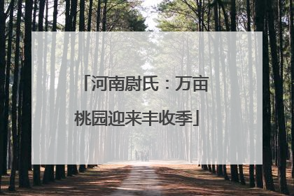 河南尉氏：万亩桃园迎来丰收季