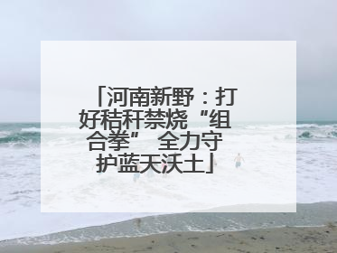 河南新野：打好秸秆禁烧“组合拳” 全力守护蓝天沃土
