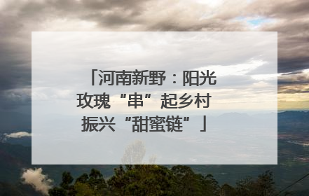 河南新野：阳光玫瑰“串”起乡村振兴“甜蜜链”