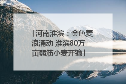 河南淮滨：金色麦浪涌动 淮滨80万亩弱筋小麦开镰