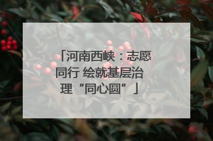 河南西峡：志愿同行 绘就基层治理“同心圆”