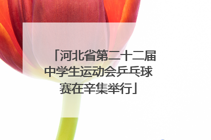 河北省第二十二届中学生运动会乒乓球赛在辛集举行