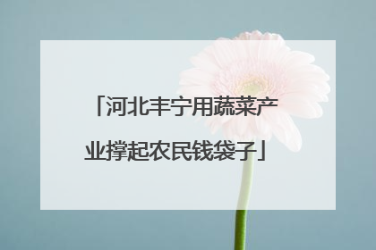 河北丰宁用蔬菜产业撑起农民钱袋子