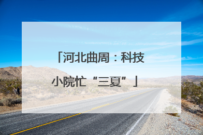 河北曲周：科技小院忙“三夏”