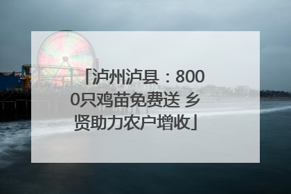 泸州泸县：8000只鸡苗免费送 乡贤助力农户增收