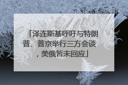 泽连斯基呼吁与特朗普、普京举行三方会谈，美俄暂未回应