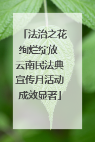 法治之花绚烂绽放 云南民法典宣传月活动成效显著