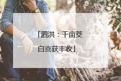 泗洪：千亩茭白喜获丰收