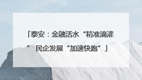 泰安：金融活水“精准滴灌” 民企发展“加速快跑”