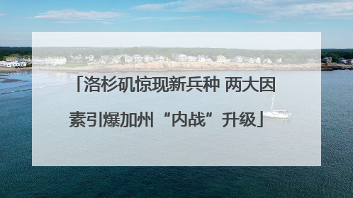 洛杉矶惊现新兵种 两大因素引爆加州“内战”升级