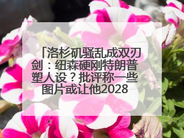 洛杉矶骚乱成双刃剑：纽森硬刚特朗普塑人设？批评称一些图片或让他2028总统梦碎