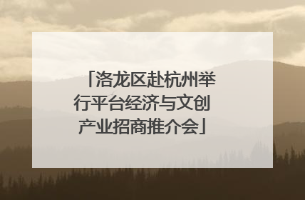 洛龙区赴杭州举行平台经济与文创产业招商推介会